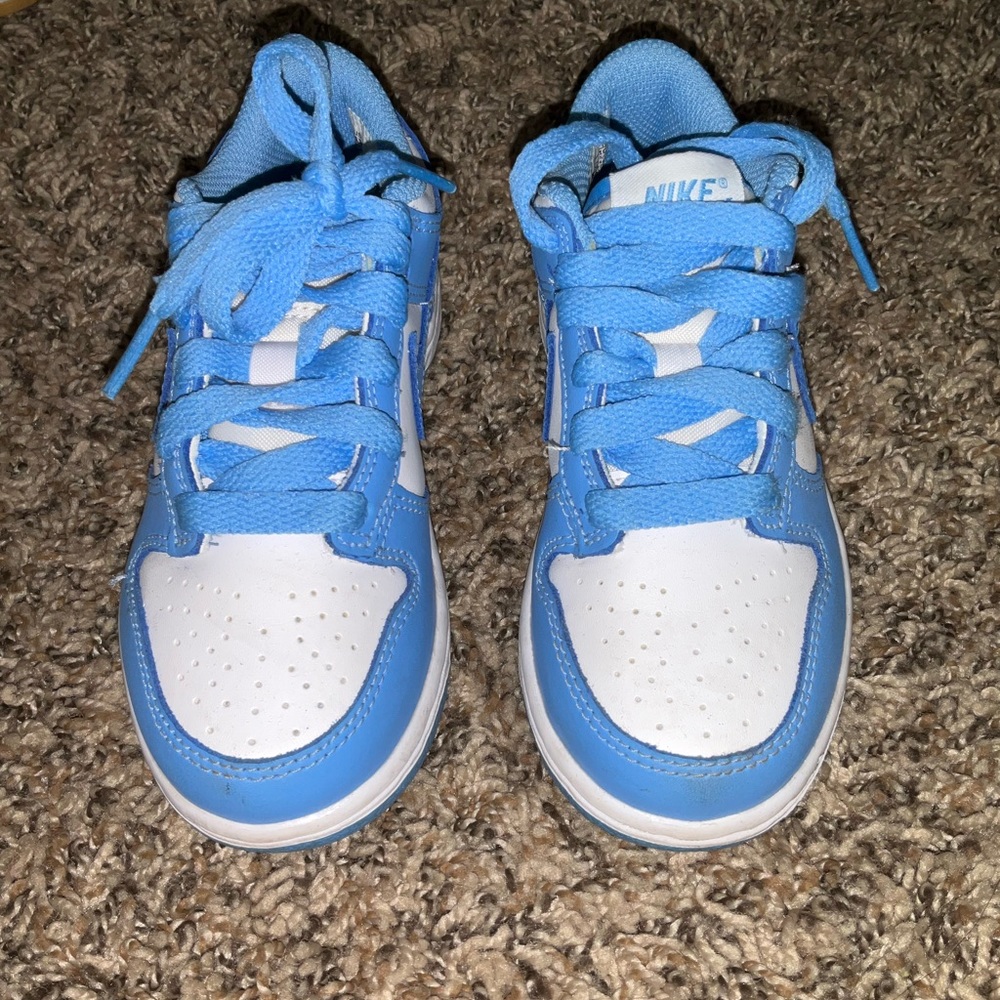 Kids Nike Dunk